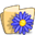 blue flower folder icon